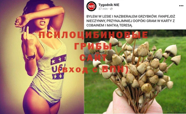 стафф Абдулино